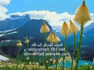 سورة المدثر لماهر المعيقلي