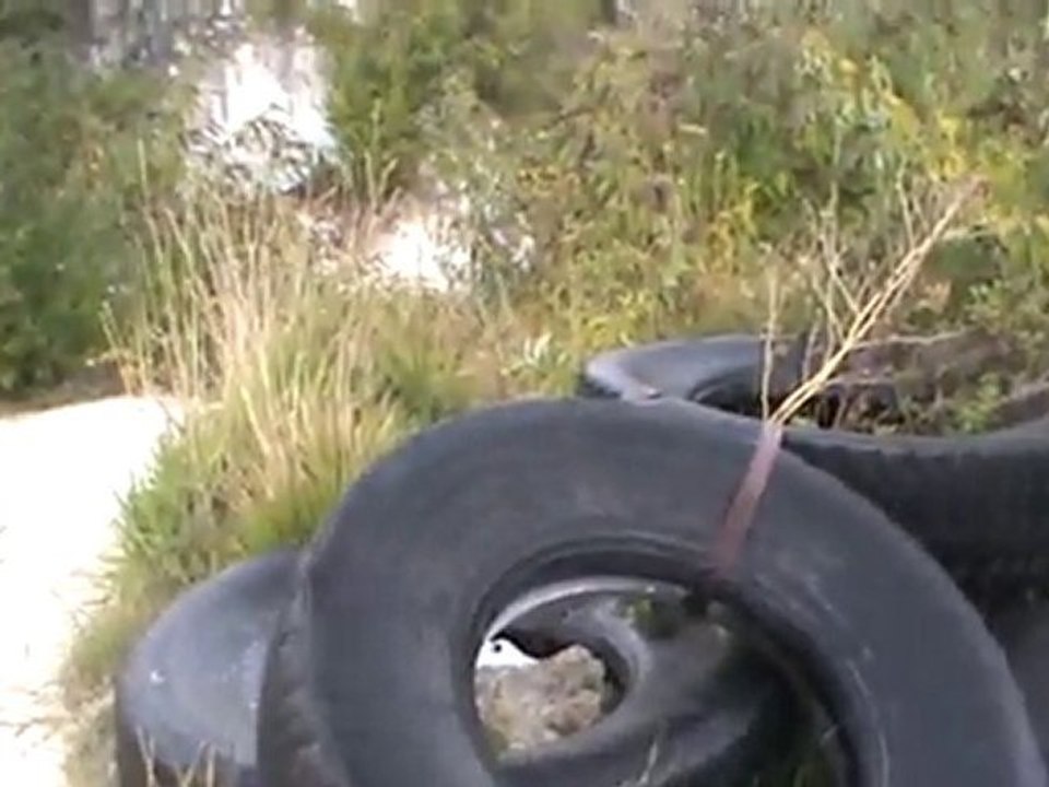 voila il casse ma moto