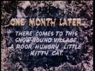 Woody Woodpecker in "Pantry Panic"