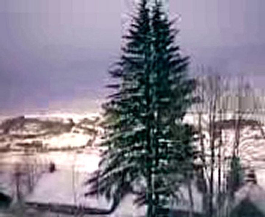 Vidéo004