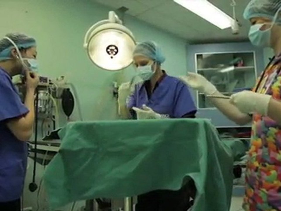 Vet Calamvale Calamvale Veterinary Clinic QLD