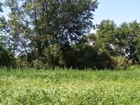 Homes for Sale - 17500 Parrish Ave - Lowell, IN 46356 - Cold