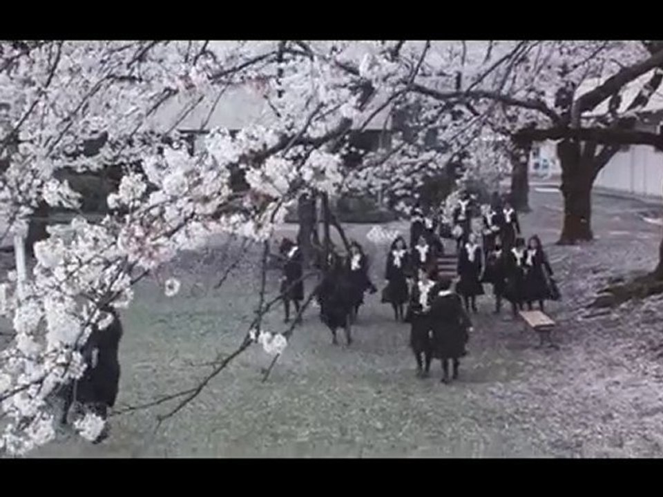 【予告篇】櫻の園