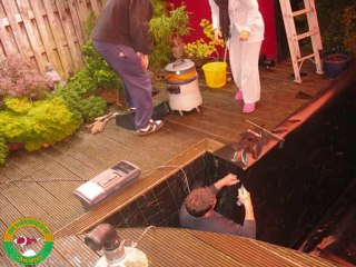 henk-koi 25 september 2010