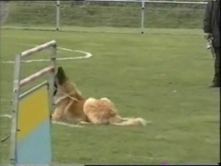 D'Jakson ring 3 à Grande synthe 1ére partie