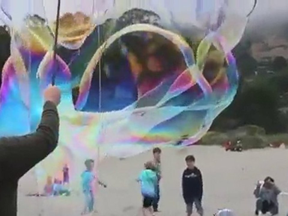 maxi bulle