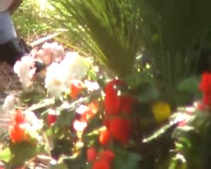 jardin public d'antan et d'aujourd'hui