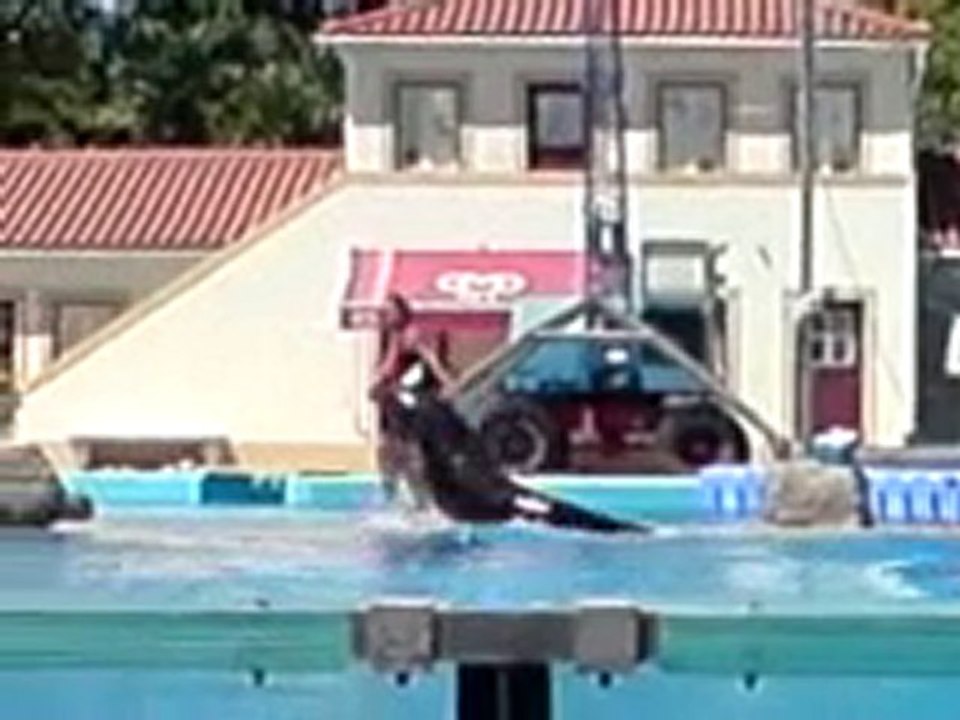 Zoo Lisbonne partie 1