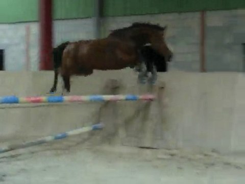 Soledad en liberté (2)