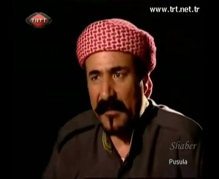 Demokratik açılım Şivan Perver Pusula TRT