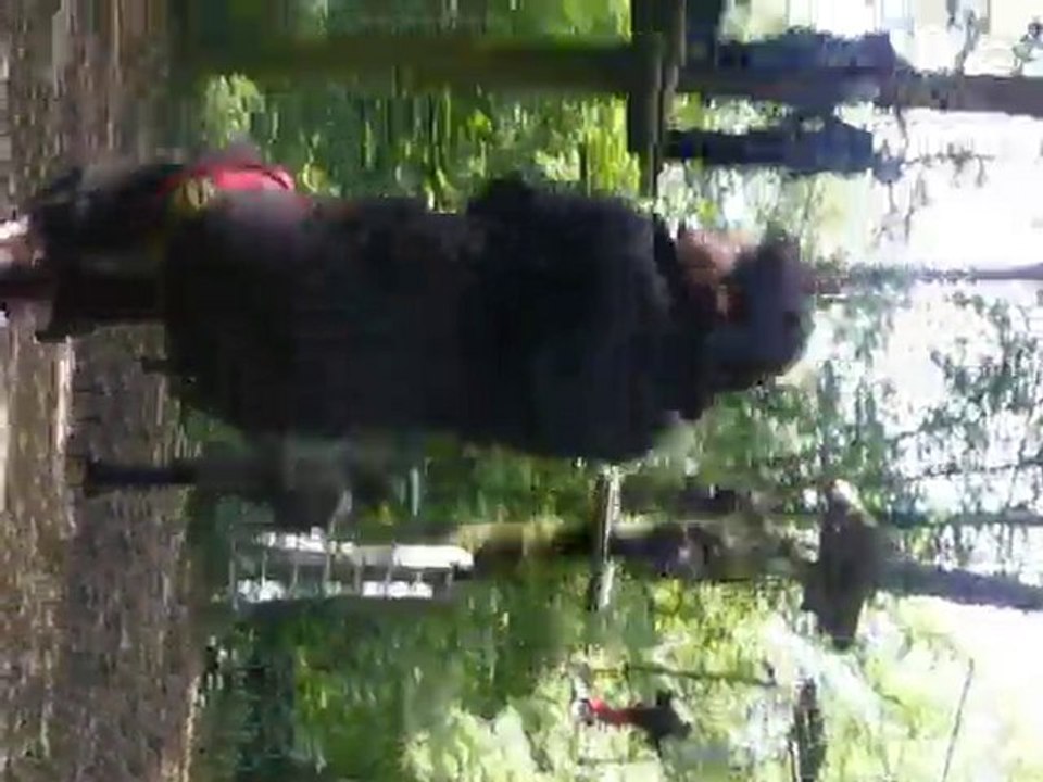 accrobravideo (3)
