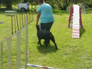 nono et balou demo 19.09.10