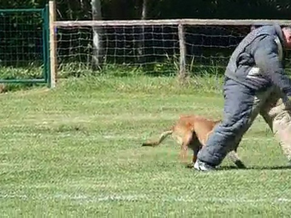 dan du domaine de sainte mathilde