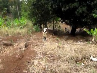 dziani bole - mika celine 041