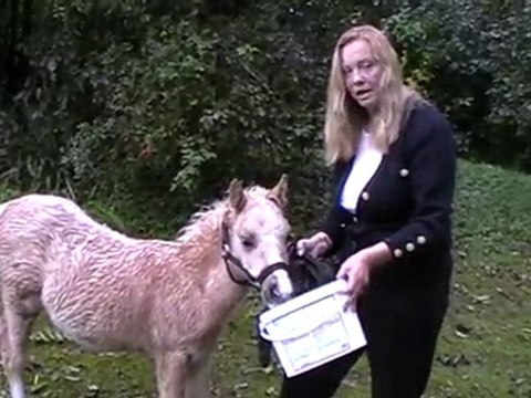 Une pétition pour retrouver ceux qui ont tué Destiny