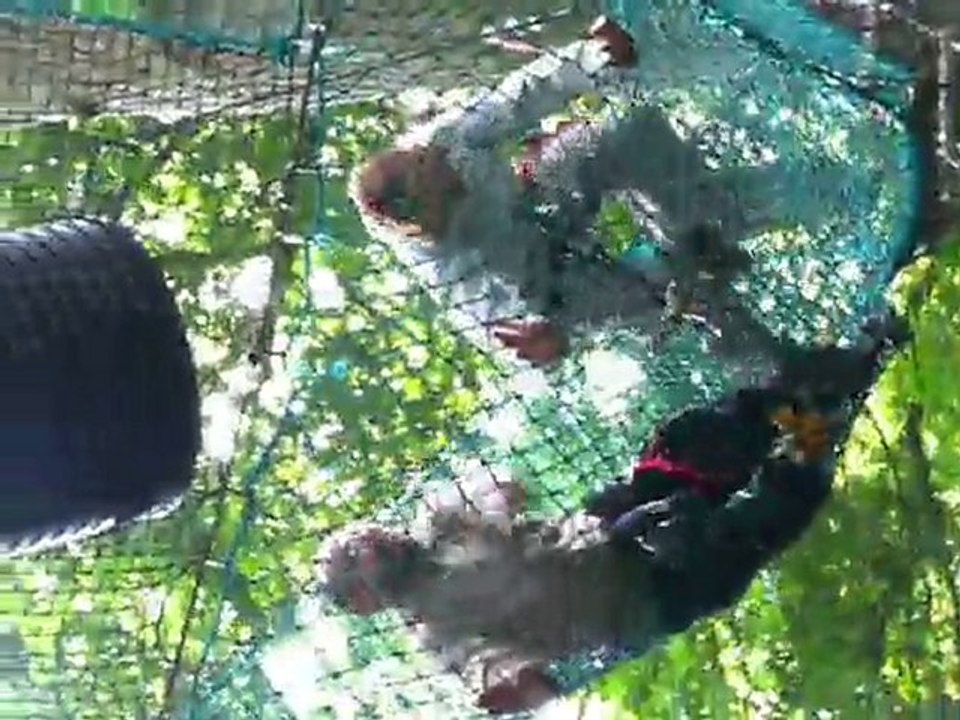 accrobravideo (10)