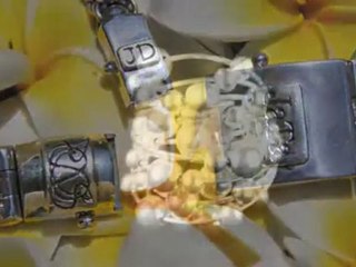 Sawah Silver (www.sawahsilver.com - www.sawahsilver.nl)