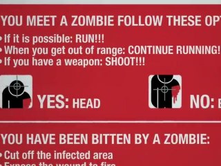 Video - Viral Video (English)