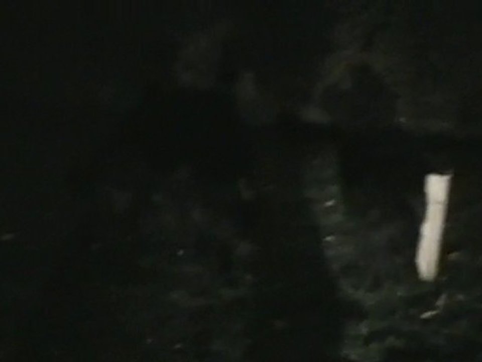 Ballade nocturne dans le jardin !