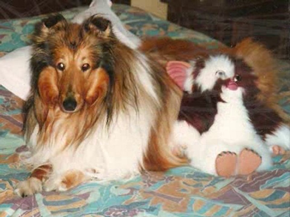 Jeddy 1995 - 2005