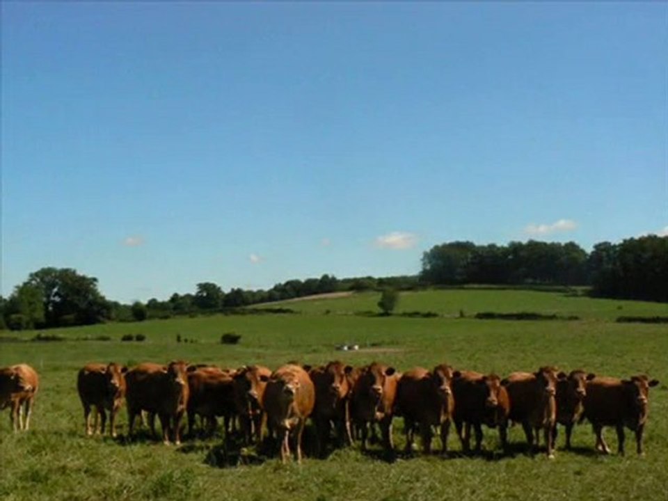 Le montage du camp compas des Ulis - année 2010