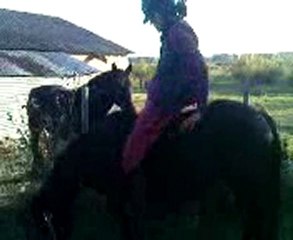 Ambre, première cavalière d'Uteza