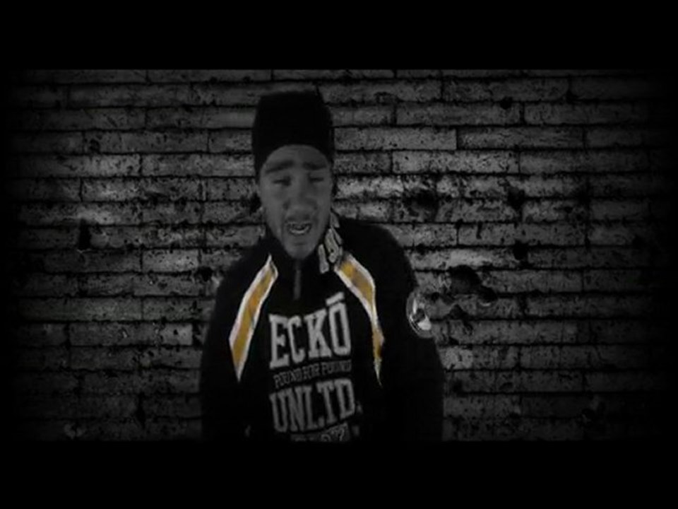 FREESTYLE N°3 FEDAYIN HAUT-ANTHIK 2010  (rap genève)