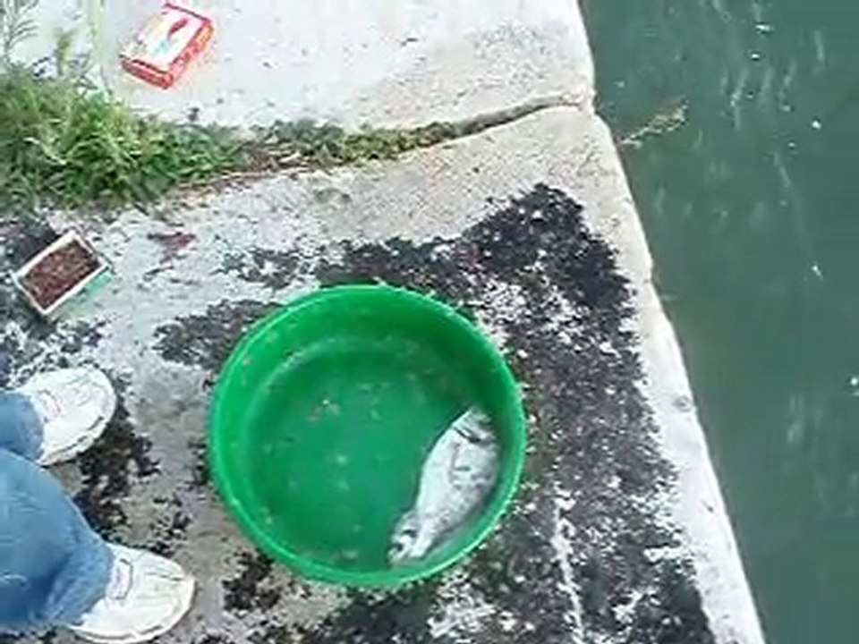 P1010135