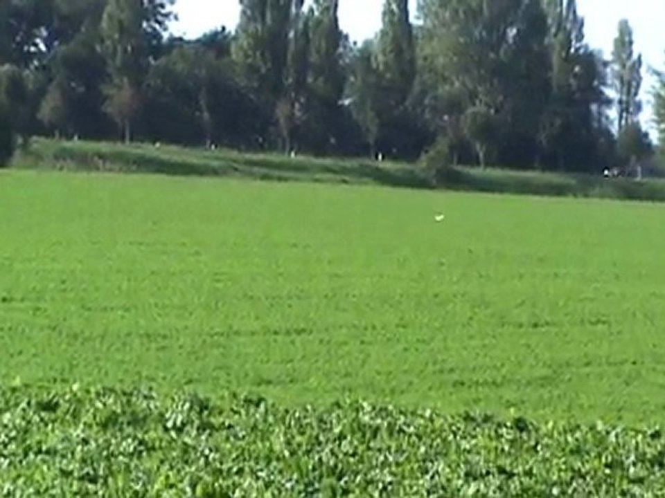 pointer