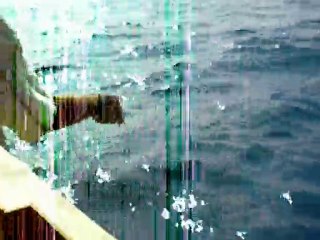 boğazda palamut avı