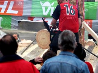 Concours tronçoneuse à Palaiseau 2010