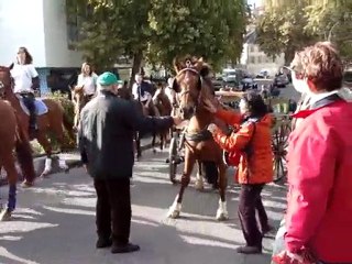 Fête du cheval 25/09/2010  (4)