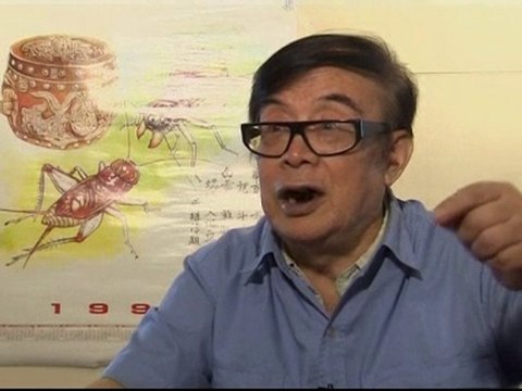 Insects fight in China