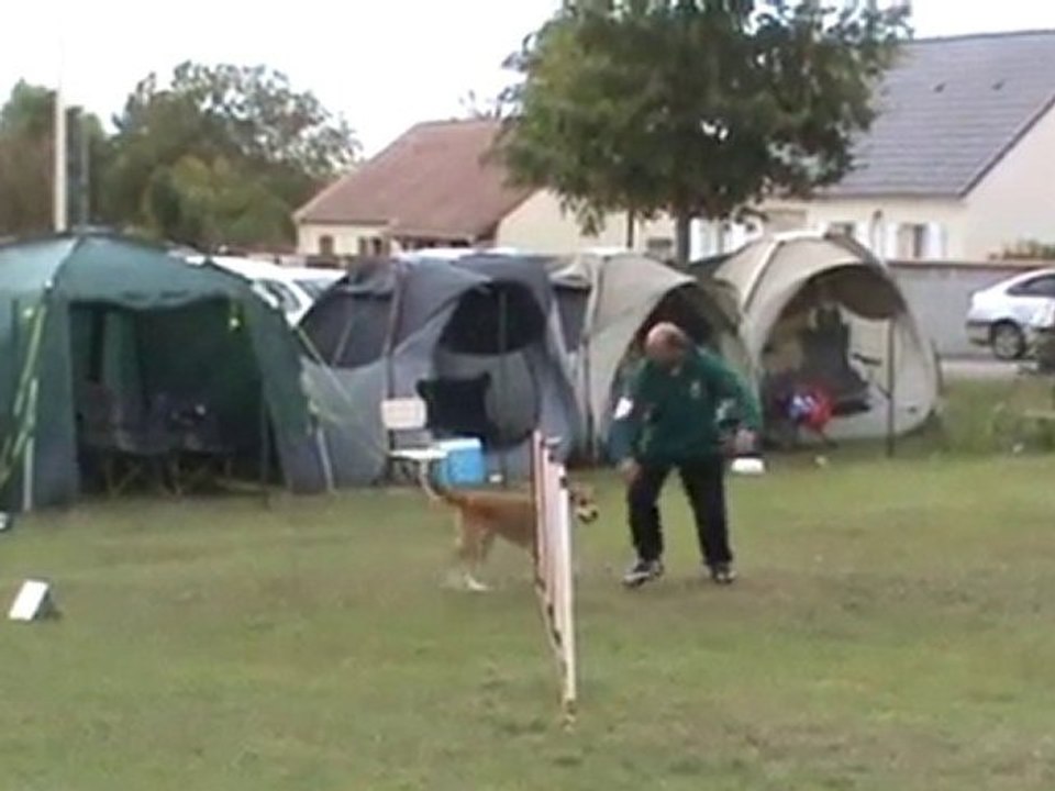 Cayenne jumping Chateauroux 2010