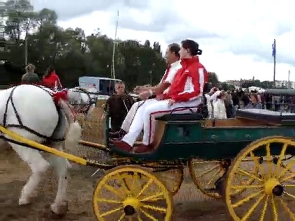 Fête du cheval 26/09/2010  (2)