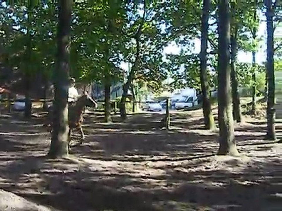 19 septembre 2010