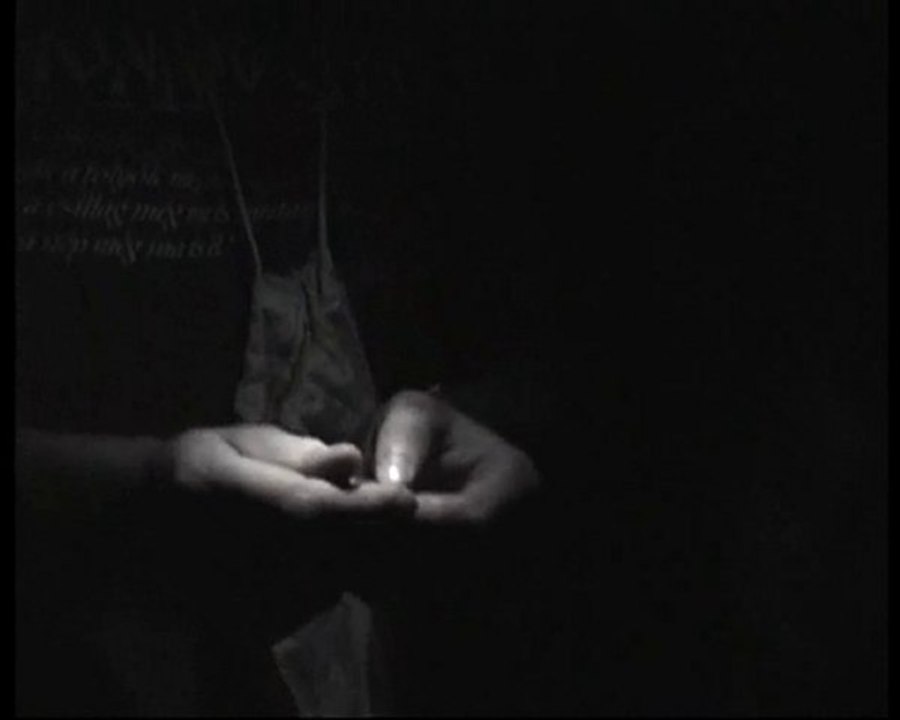 Soirée Chauves-souris