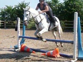 Le saut d'obstacle et moi :)