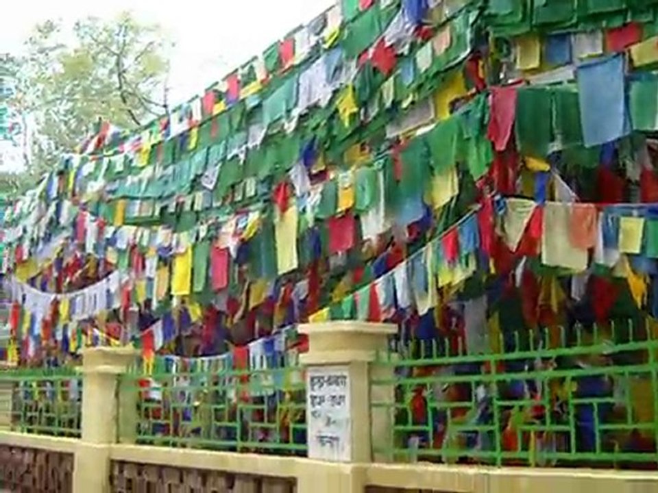 inde 2010 rewalsar lake