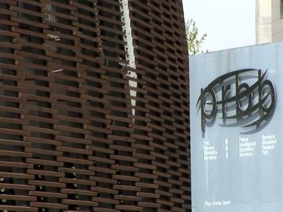 EL PODER EXTRAORDINARIO DEL PEZ CEBRA