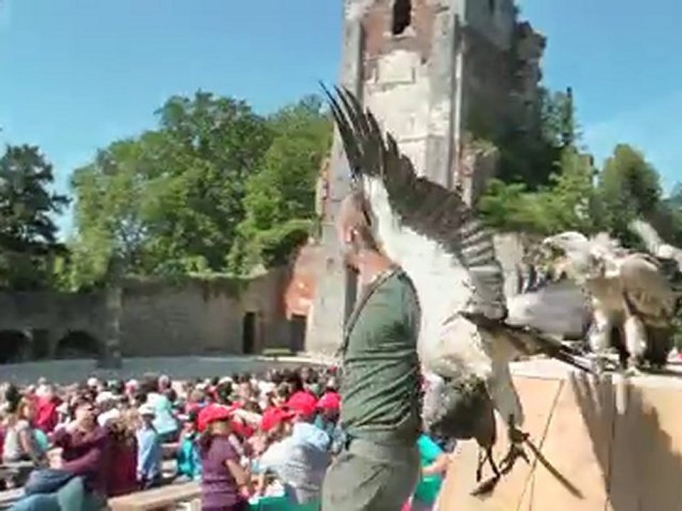 Rapaces en vol.m2ts