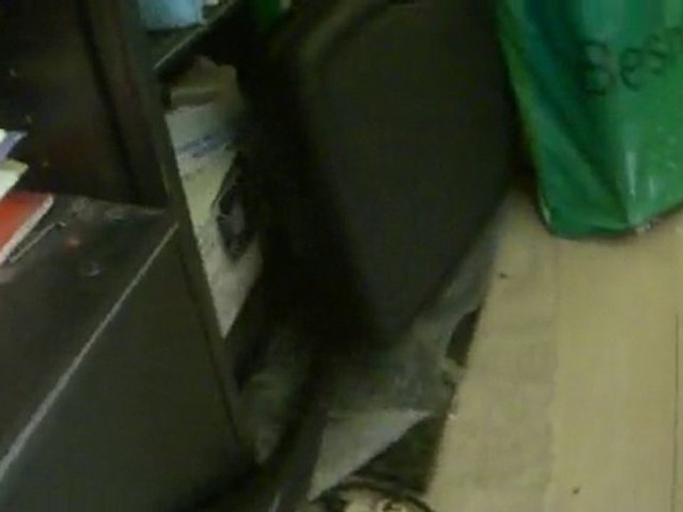 Lena sortie 27 sept 2010