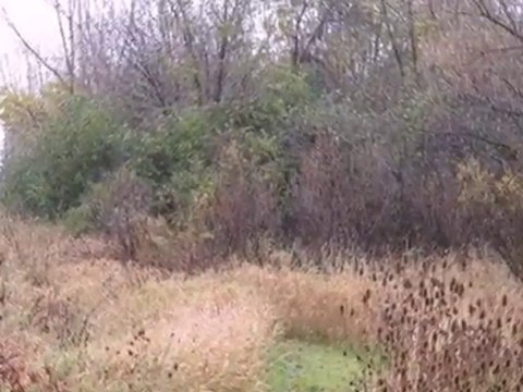 Homes for Sale - 100 GARY Avenue - Carol Stream, IL 60188 -