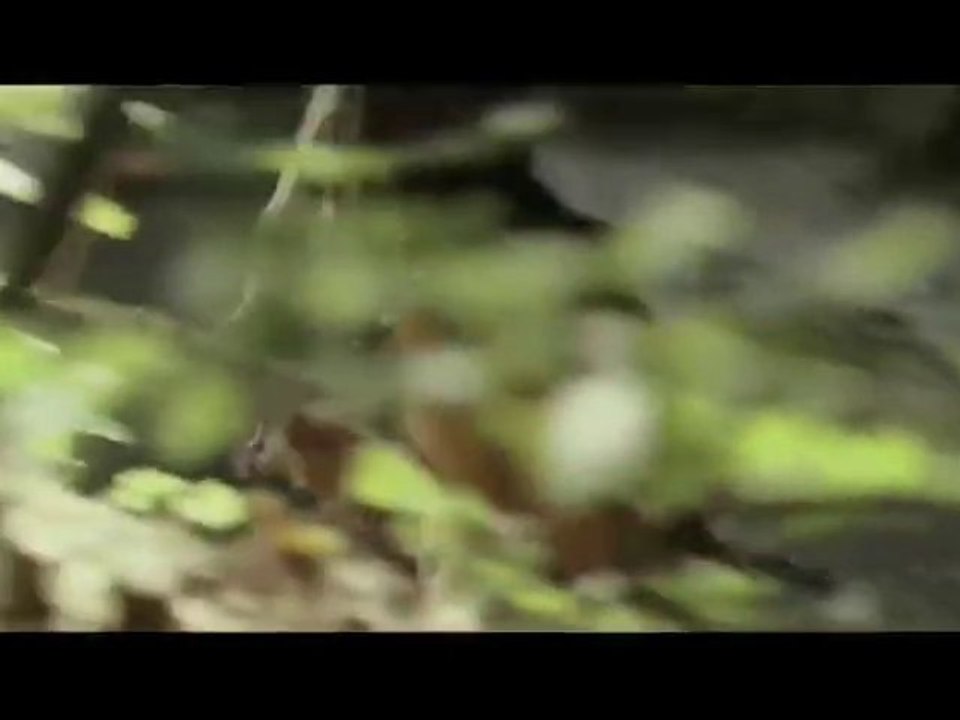 Ao, le dernier néandertal - Bande annonce