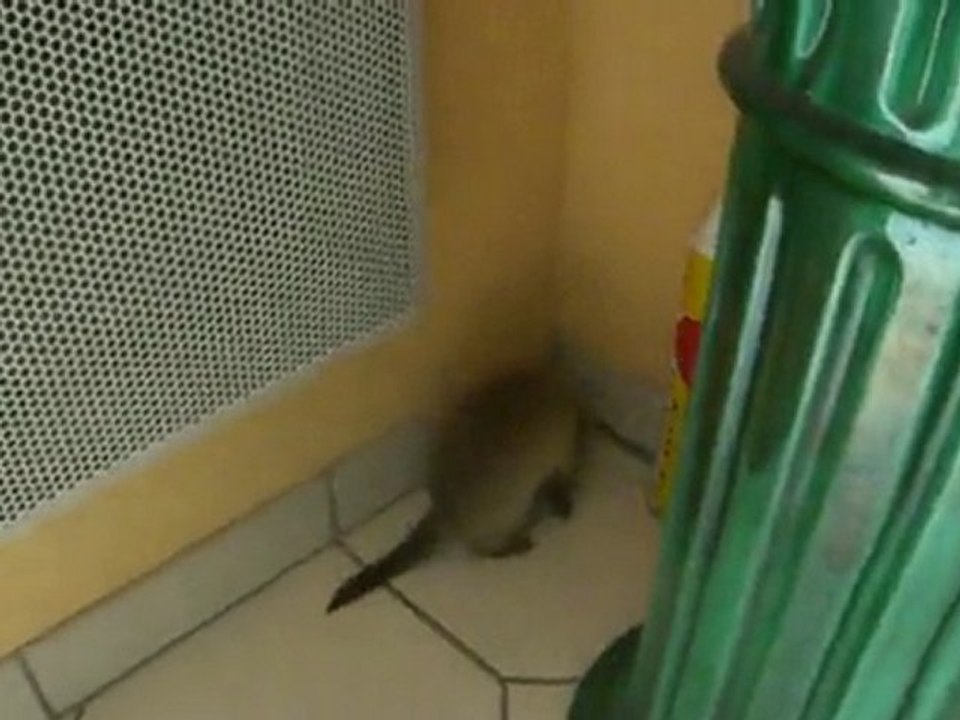 Lena en sortie 27 sept 2010