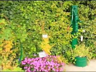 film test Canon EOS 550D Full HD