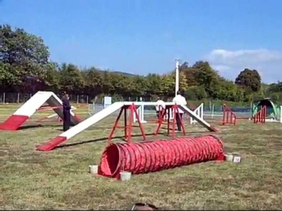 Concours d'Agility à Montrevel