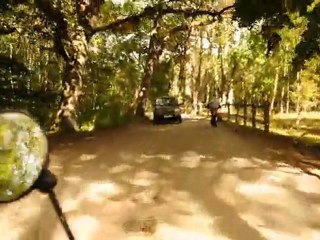 Sortie du parc du parc du marquenterre en Solex