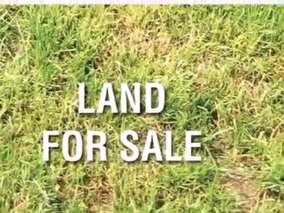 Homes for Sale - 8510 Jacobson St - Saint John, IN 46373 - C