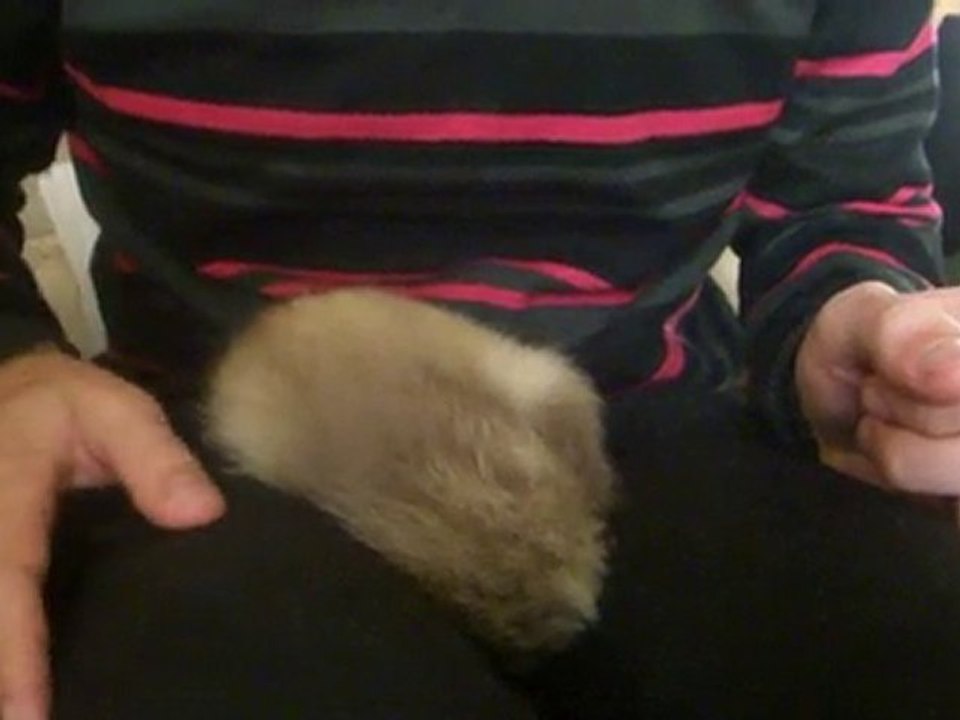 Léchouilles à mon zhomme